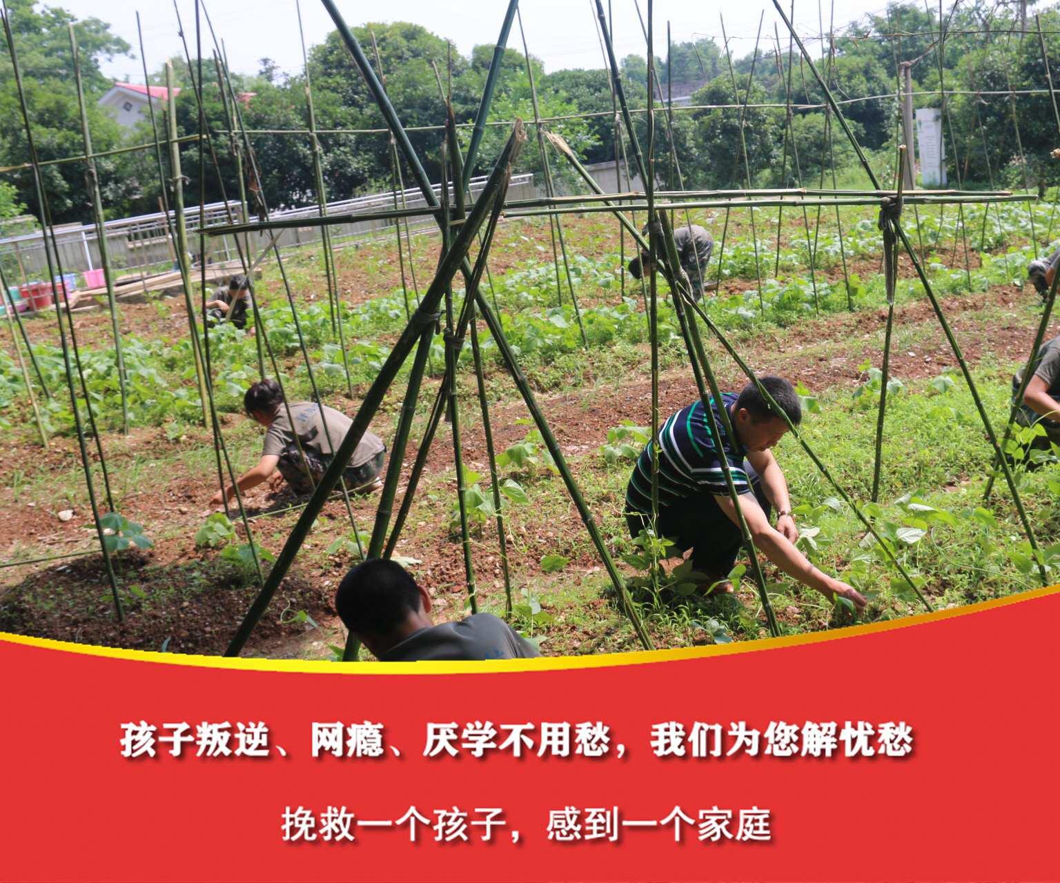 哪里可以戒游戏瘾