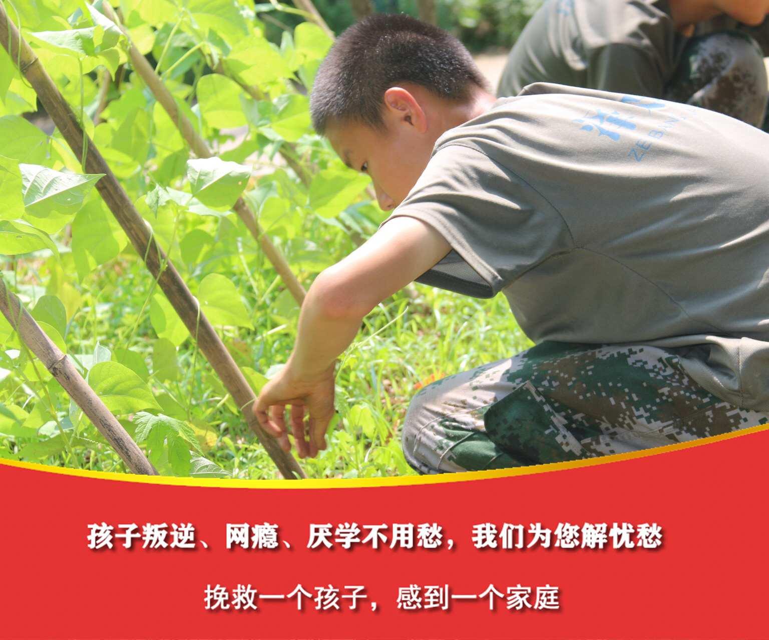 管教问题学生的学校