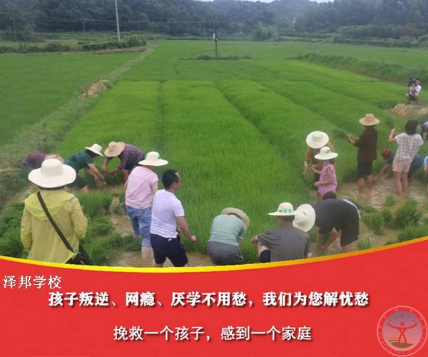 有没有适合问题的少年学校