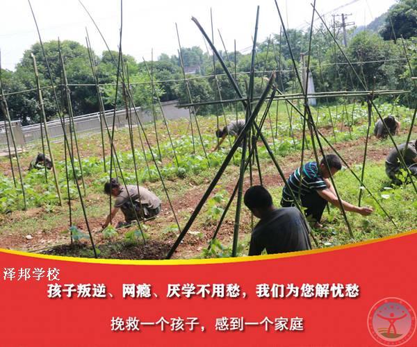 叛逆青少年素质教育学校-泽邦