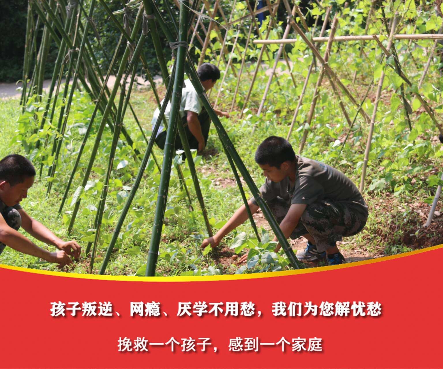 孩子不听话送特训学校有用吗