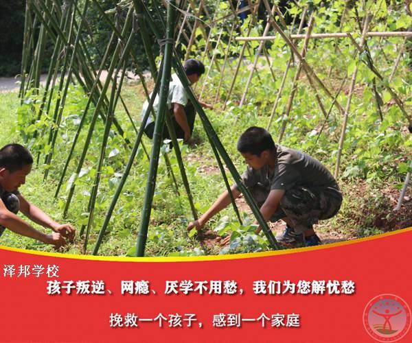 广东省问题少年全封闭学校2022已更新