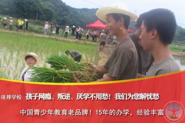 叛逆 孩子 学校2022已更新
