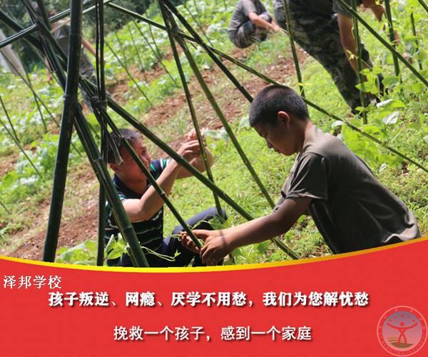 东莞青少年学校（家长推荐）