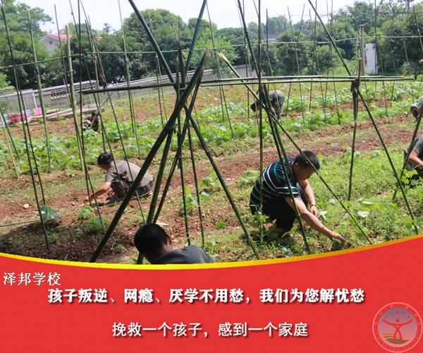 少年封闭式特训教育学校推荐