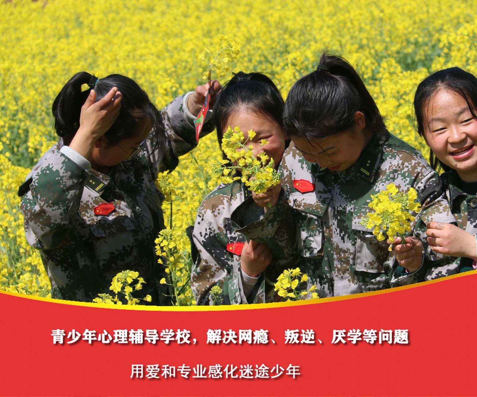 孩子做作业依赖性太强怎么办