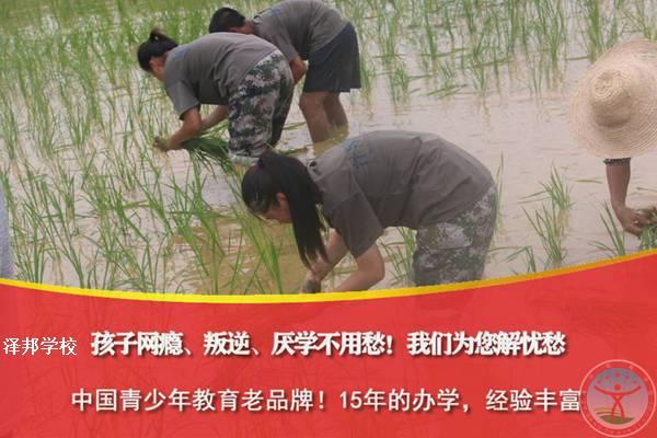 青少年戒手机依赖的学校