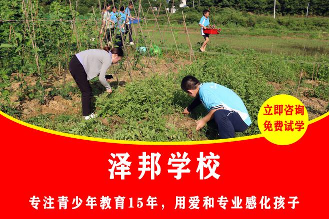 青少年叛逆管教机构