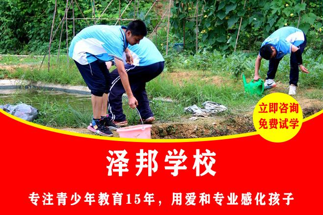 正规的不良少年学校