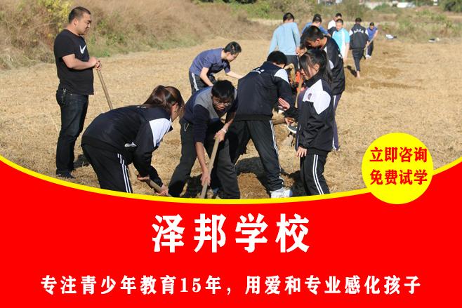 叛逆期孩子的教育