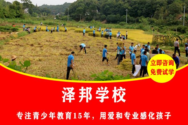 什么学校接受叛逆不听话的学生