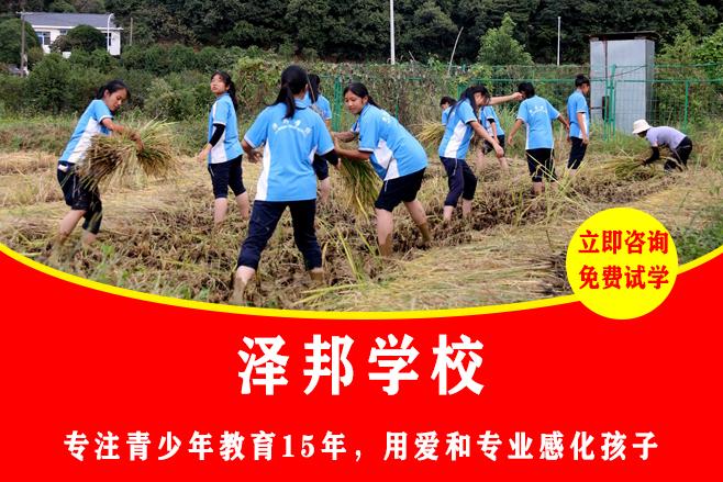 封闭式学校多少钱