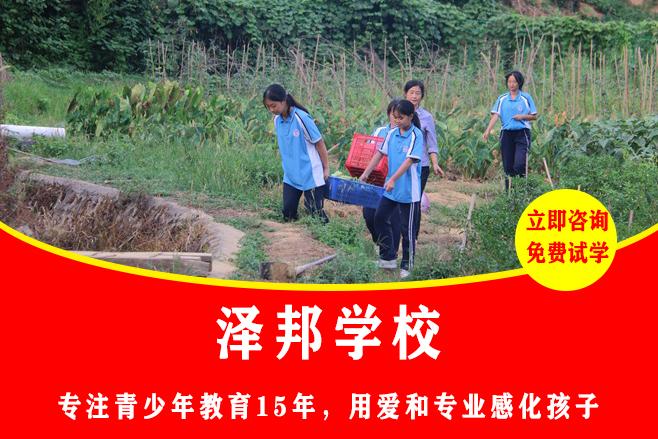 正规封闭式学校收费多少