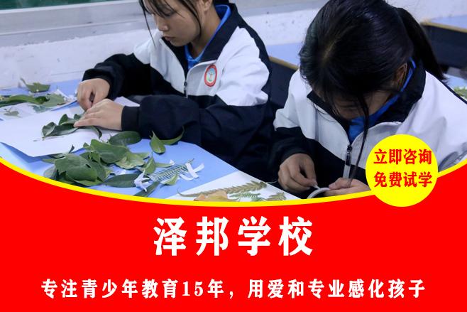 有哪些学校招叛逆孩子