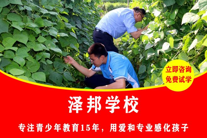 问题孩子教育学校在哪里