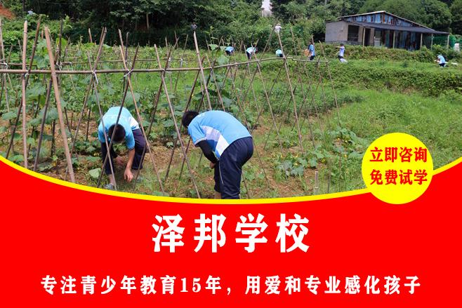 湖南有哪些叛逆管教学校