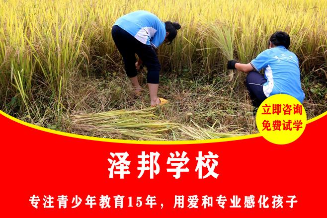 哪里有教育12岁叛逆孩子的学校