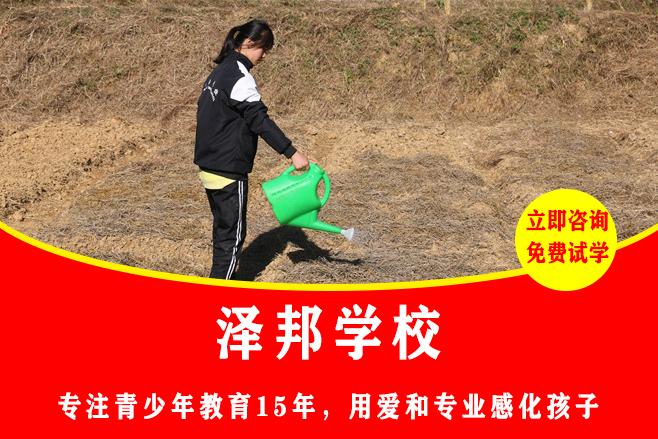 湖南有哪些励志特训学校