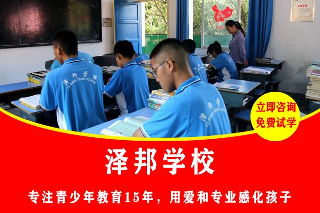 正规文武学校有多少家