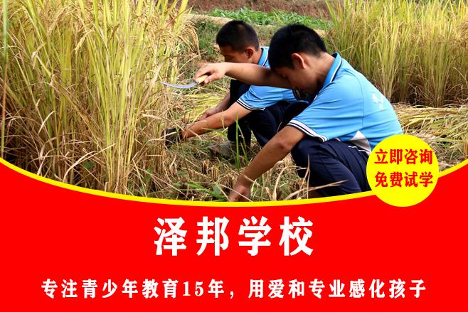 全国武术学校哪家好
