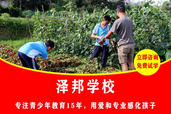 湖南叛逆孩子管教学校有哪几所