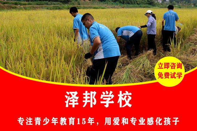 12岁能进叛逆少年管教学校吗