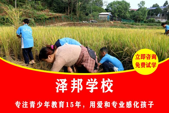 哪里有管教小孩不听话的学校
