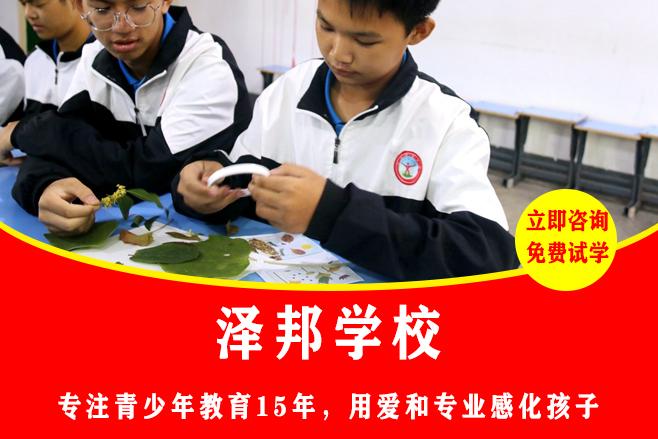 管教叛逆青少年的专业学校哪家好