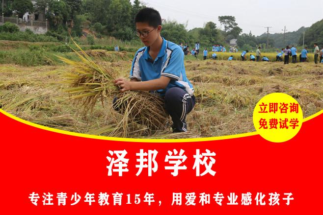 湖南十大专门叛逆教育学校排名