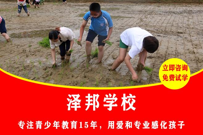 湖南孩子的叛逆学校