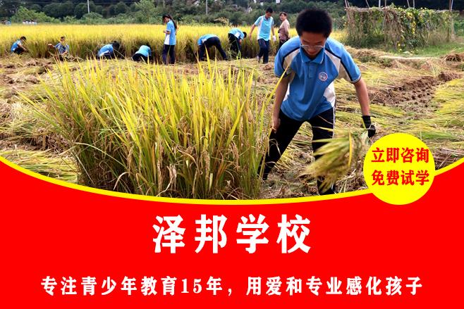 湖南有几所正规励志教育学校