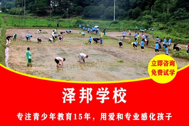 叛逆孩子学校价格