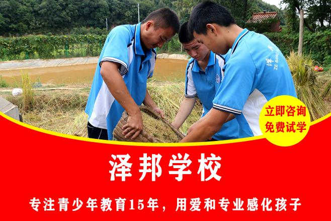 叛逆学校那里有