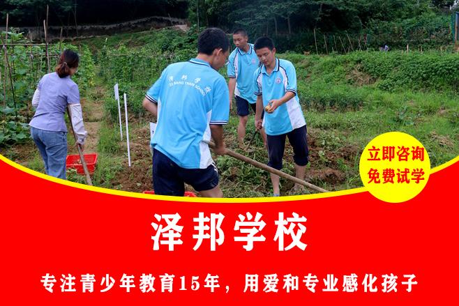 岳阳叛逆特训学校