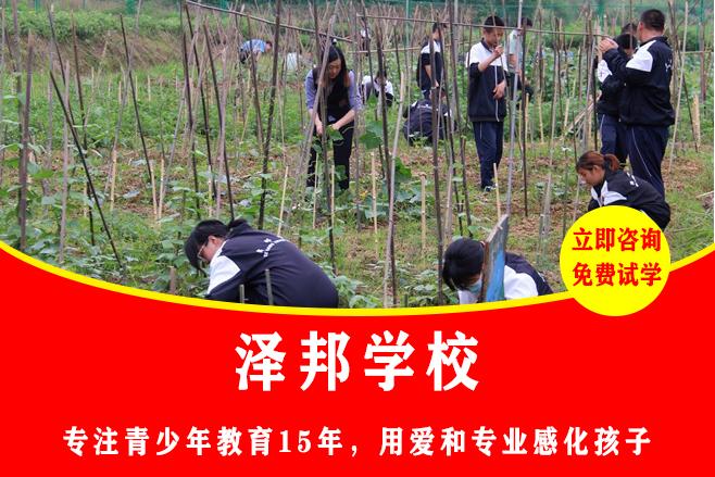 娄底青少年叛逆学校