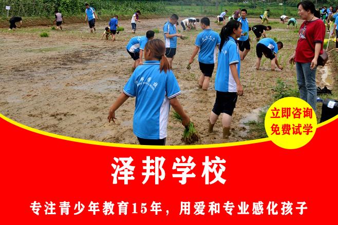 正规戒叛逆学校