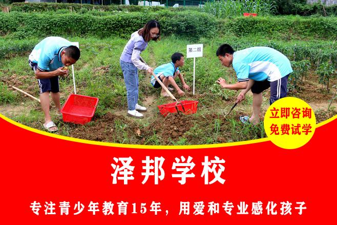 问题青少年孩子叛逆学校