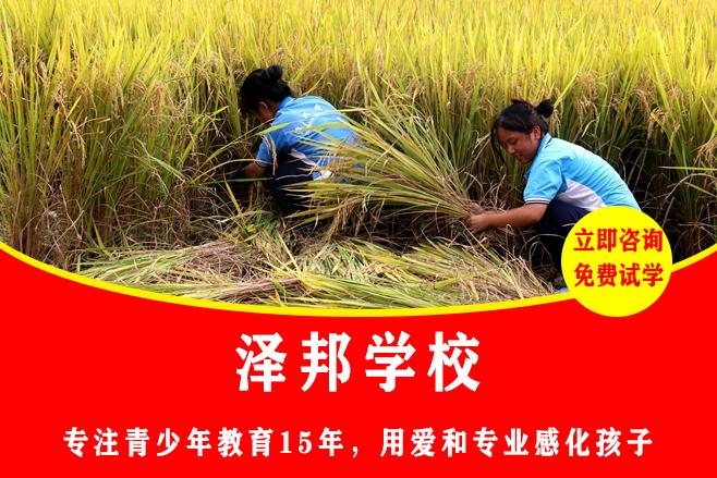 湖南学校的军事化管理