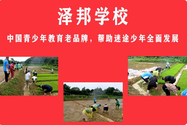 湖南文武学校的特色