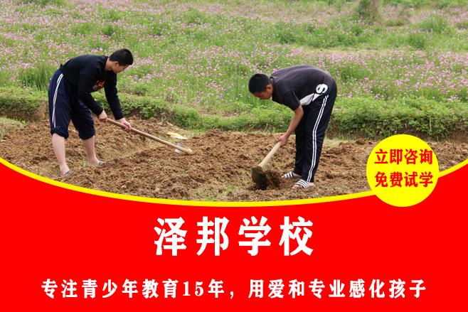 特训叛逆青少年的学校