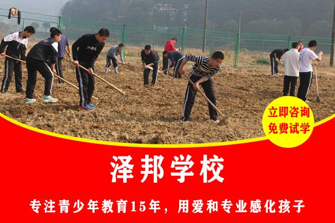 青少年叛逆期正规学校的教育意义