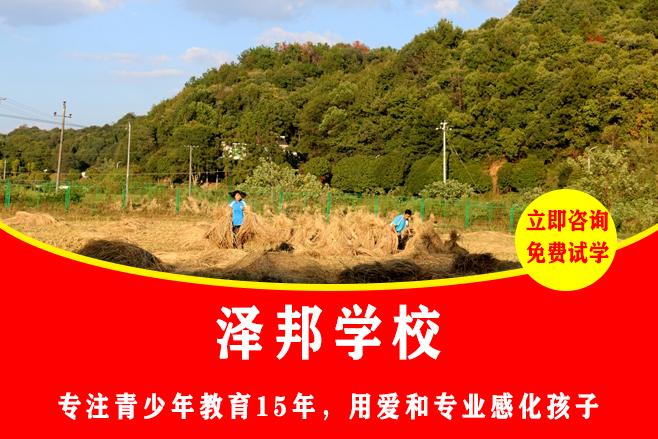 湘阴特训学校教育价值