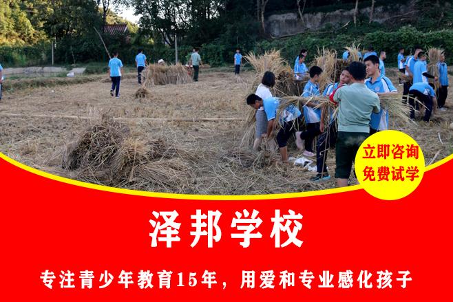 正规管教学校的教育价值