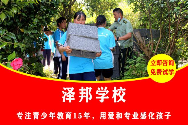 训练青少年的学校