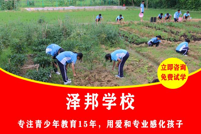 娄底励志青少年特训学校意义