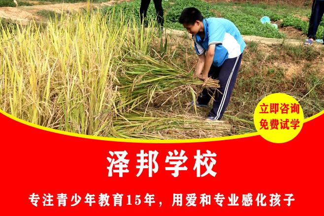 叛逆期教育男孩