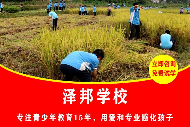 小孩管教的学校