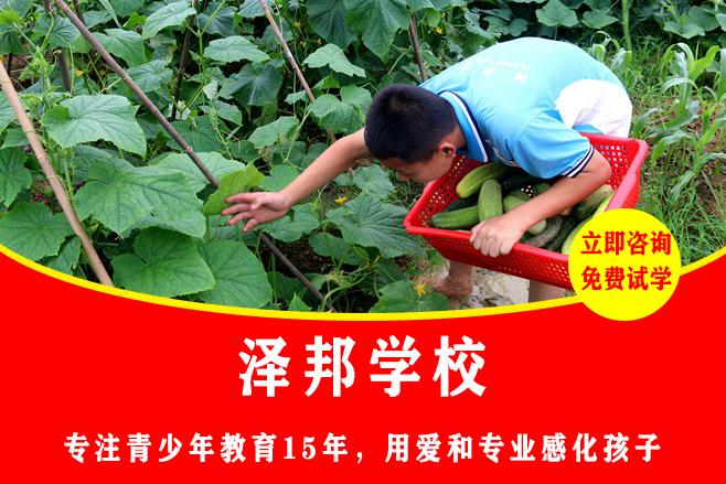 叛逆女孩学校的教育价值