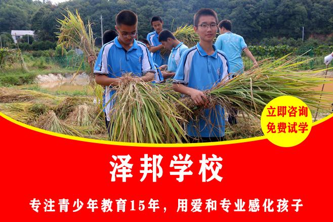 望城特训学校教育特色