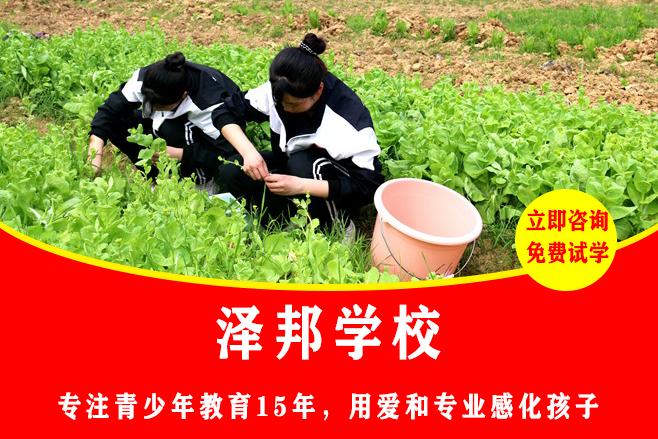 正规少年管教学校